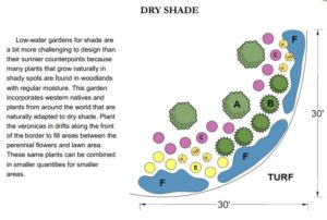 Sample Dry Shade Garden